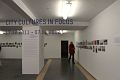picture of the exhibition 11