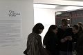 picture of the exhibition 1
